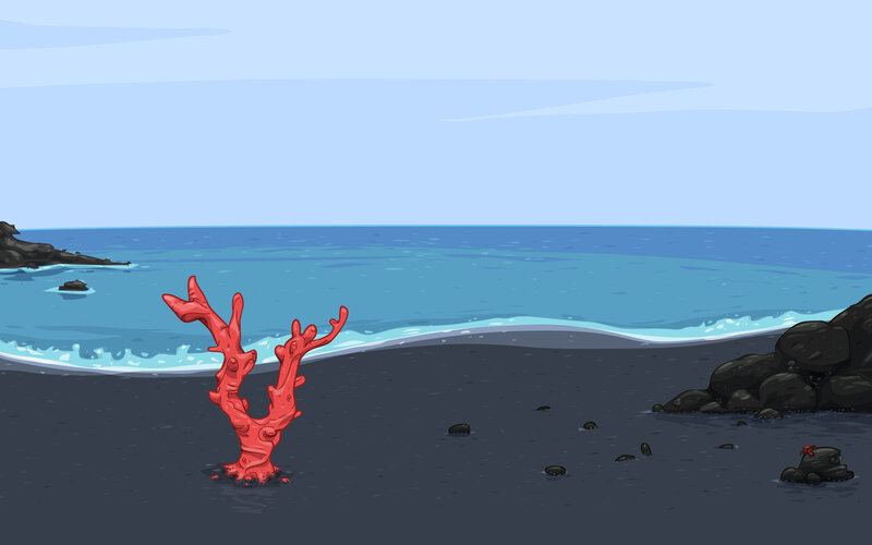 coral on black sand beach
