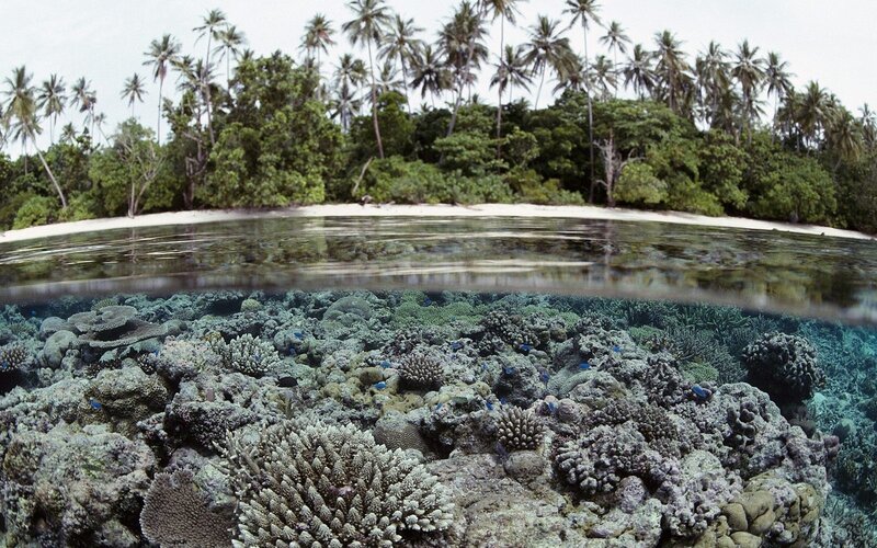 Coral reef and tropical island