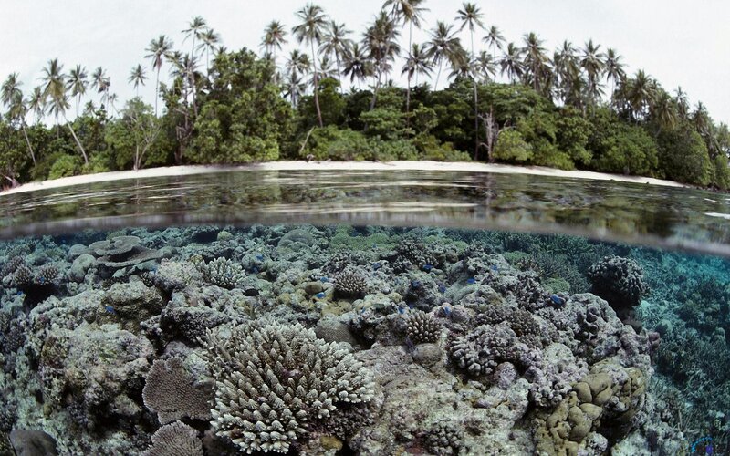 Coral reef and tropical island