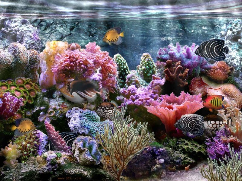 Coral Reef Aquarium — Purple, Vibrant, Digital Art