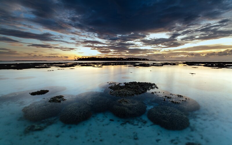 Coral Reef at Sunset — Blue, Serene