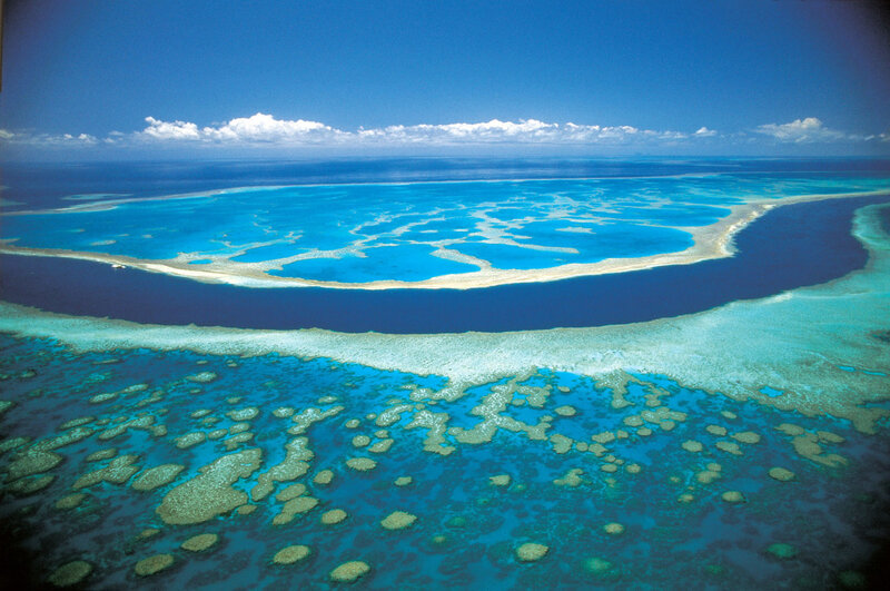 Coral Reef Atoll