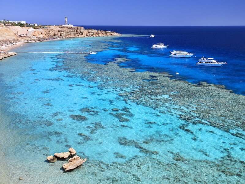 Coral Reef Beach