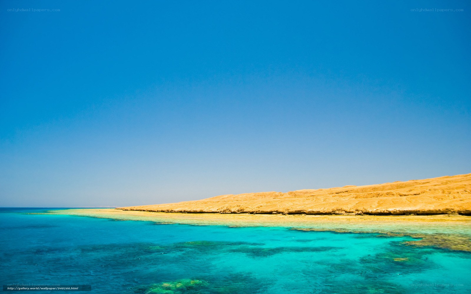Coral reef coastline under blue sky