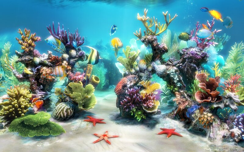Coral Reef Ecosystem — Blue, Serene, Digital Art