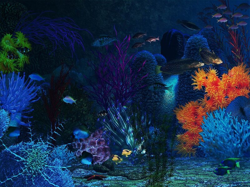 Coral Reef Ecosystem — Blue, Vibrant, Digital Art