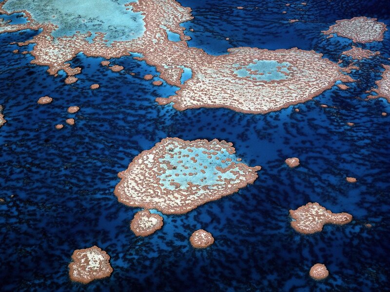 Coral Reef Formations — Blue