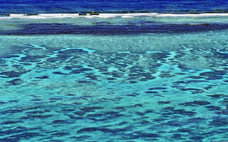 Coral reef from above