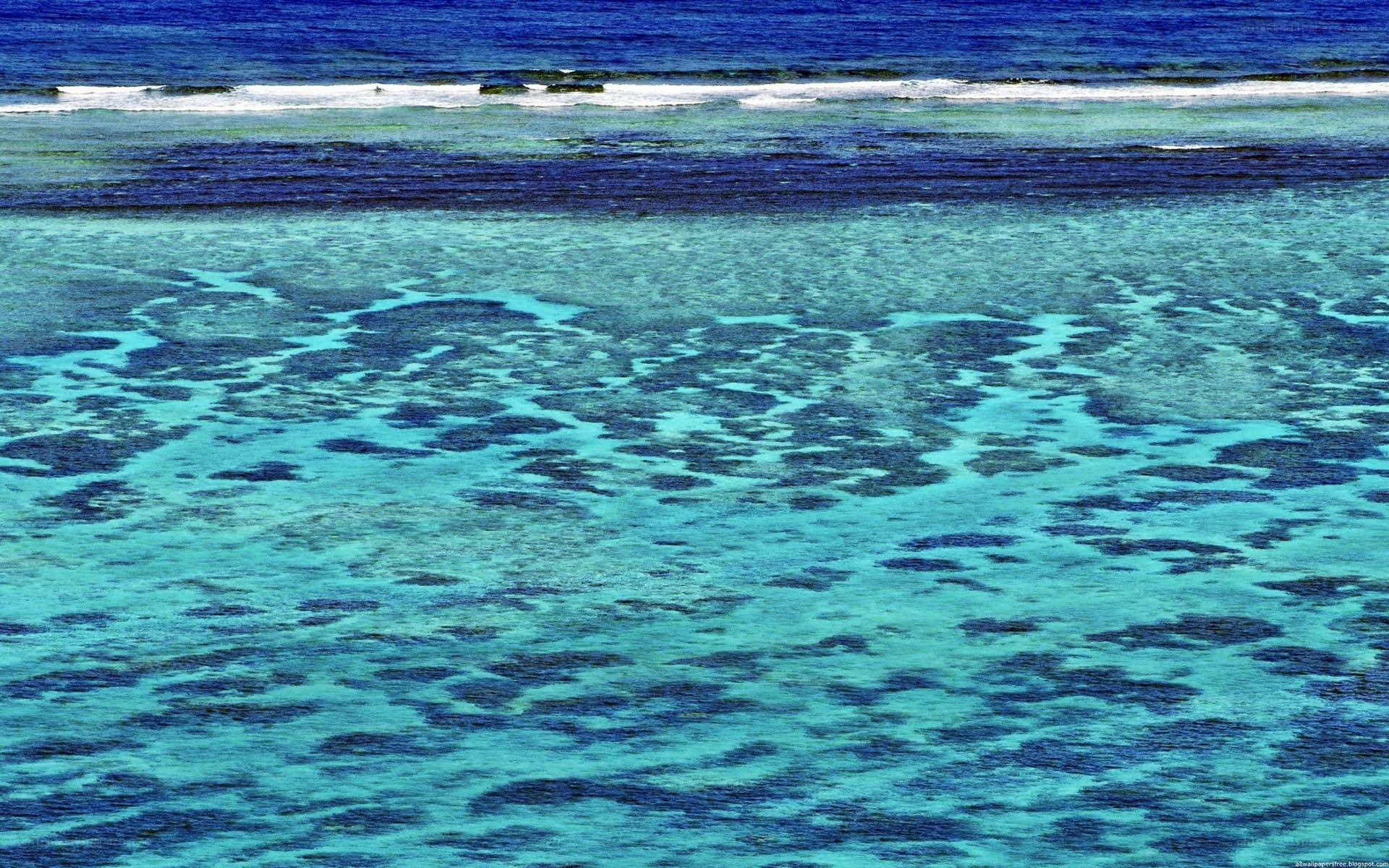 Coral reef from above
