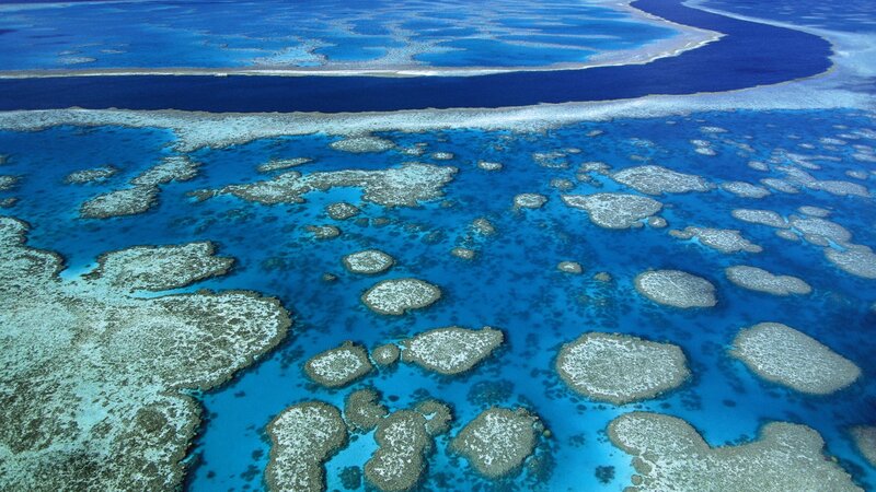 Coral Reef from Above — Blue, Serene, Afternoon, Photograph, Ocean, Island, White, Green