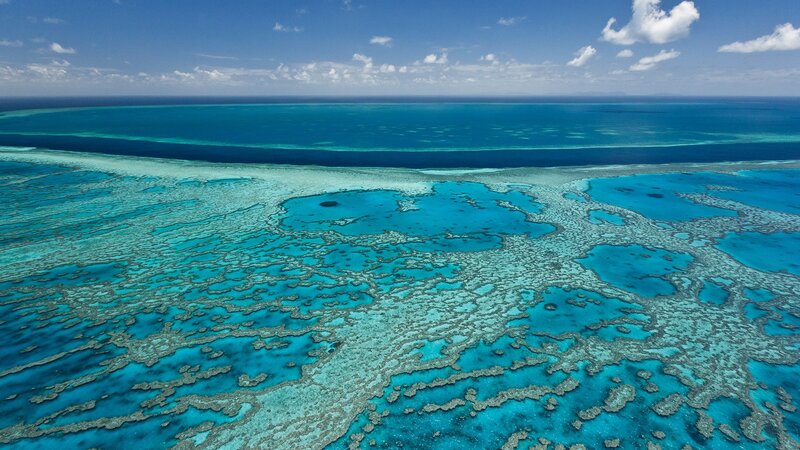 Coral Reef from Above — Blue, Serene, Afternoon, Photograph, Ocean, Sky