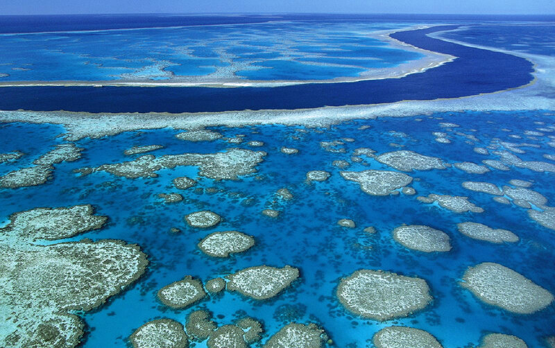 Coral Reef from Above — Blue, Serene, Afternoon