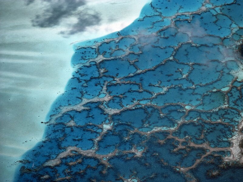 Coral Reef from Above — Blue, Serene, Photograph