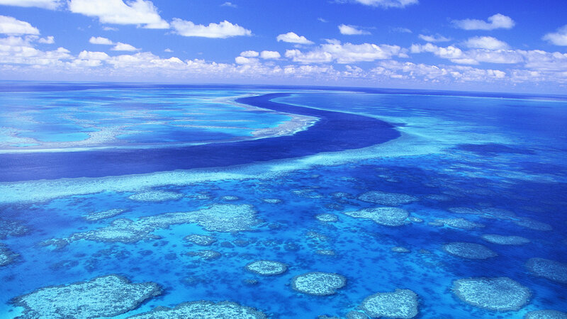 Coral Reef from Above — Blue, Serene