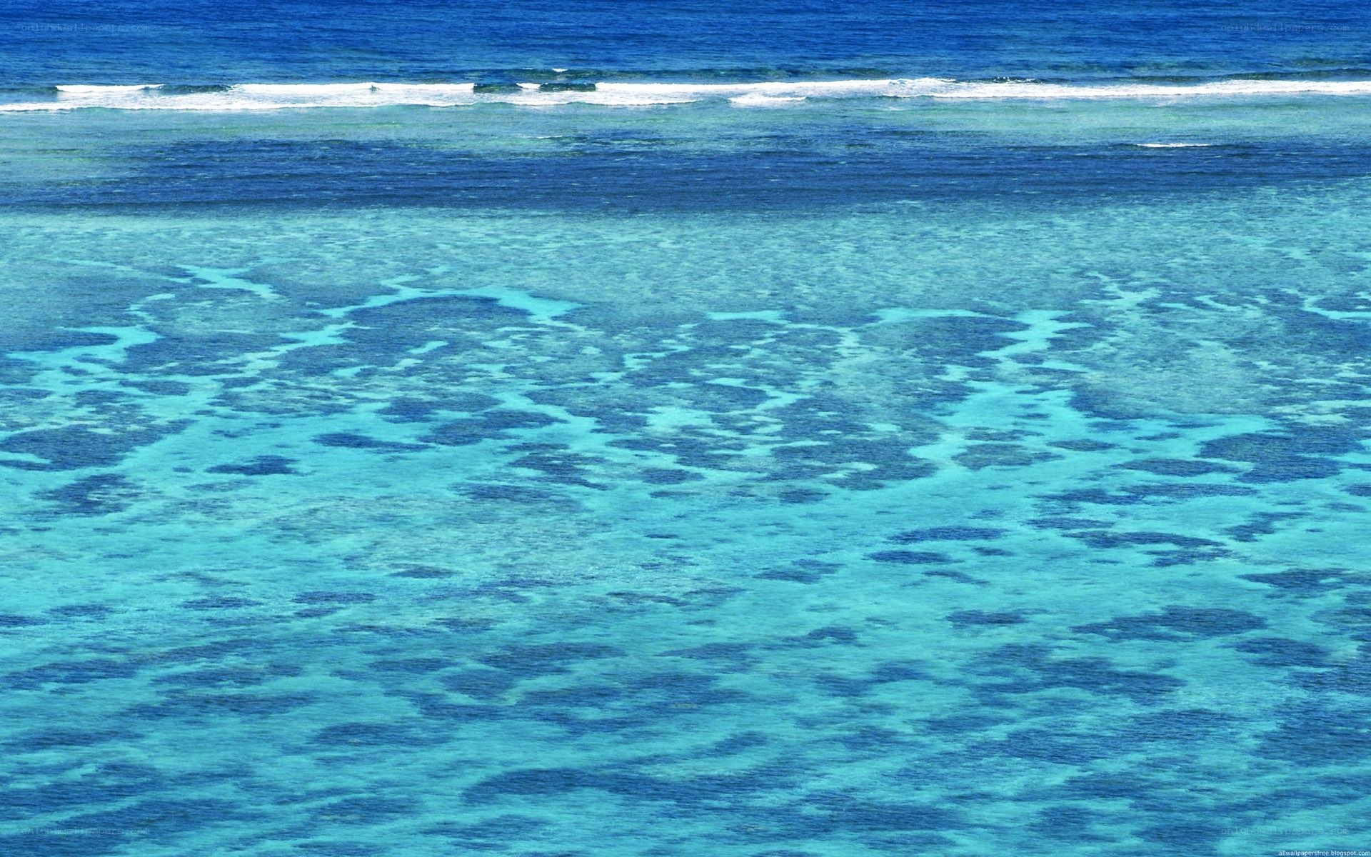Coral reef from above