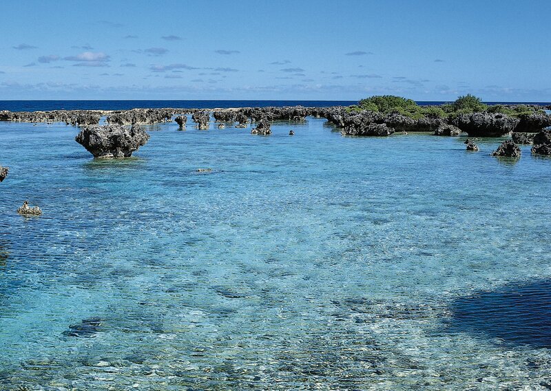 Coral reef in clear blue water