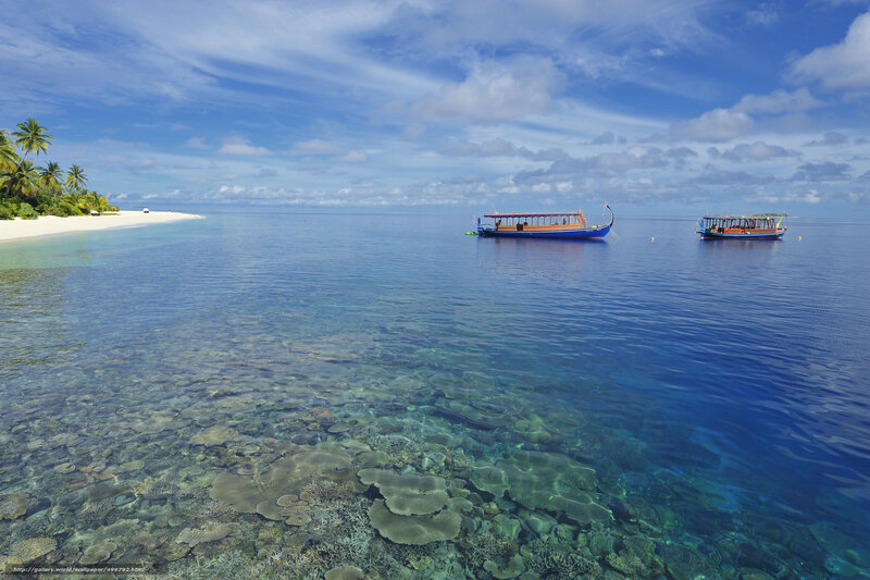 Coral Reef in Shallow Water — Blue, Serene, Afternoon, Photograph