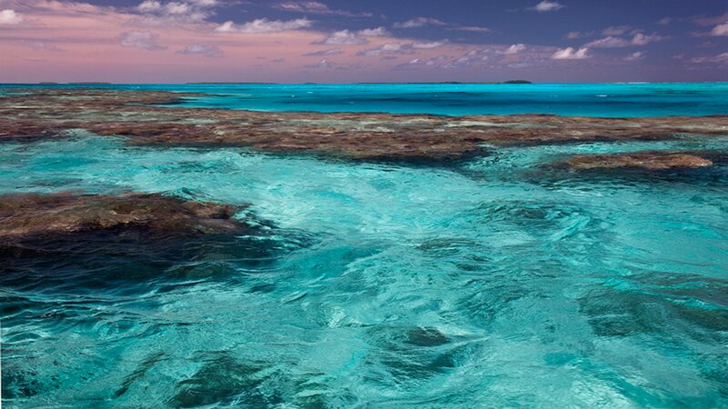Coral Reef in Turquoise Water