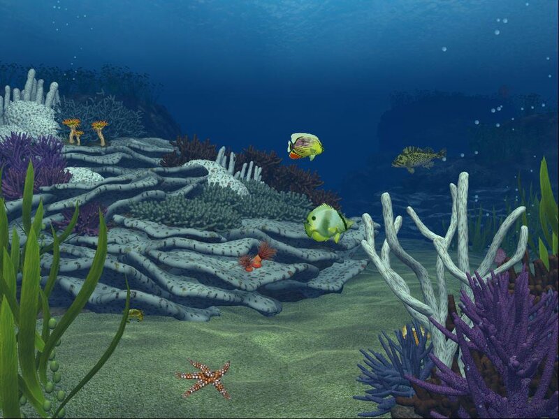 Coral Reef Scene — Blue, Serene