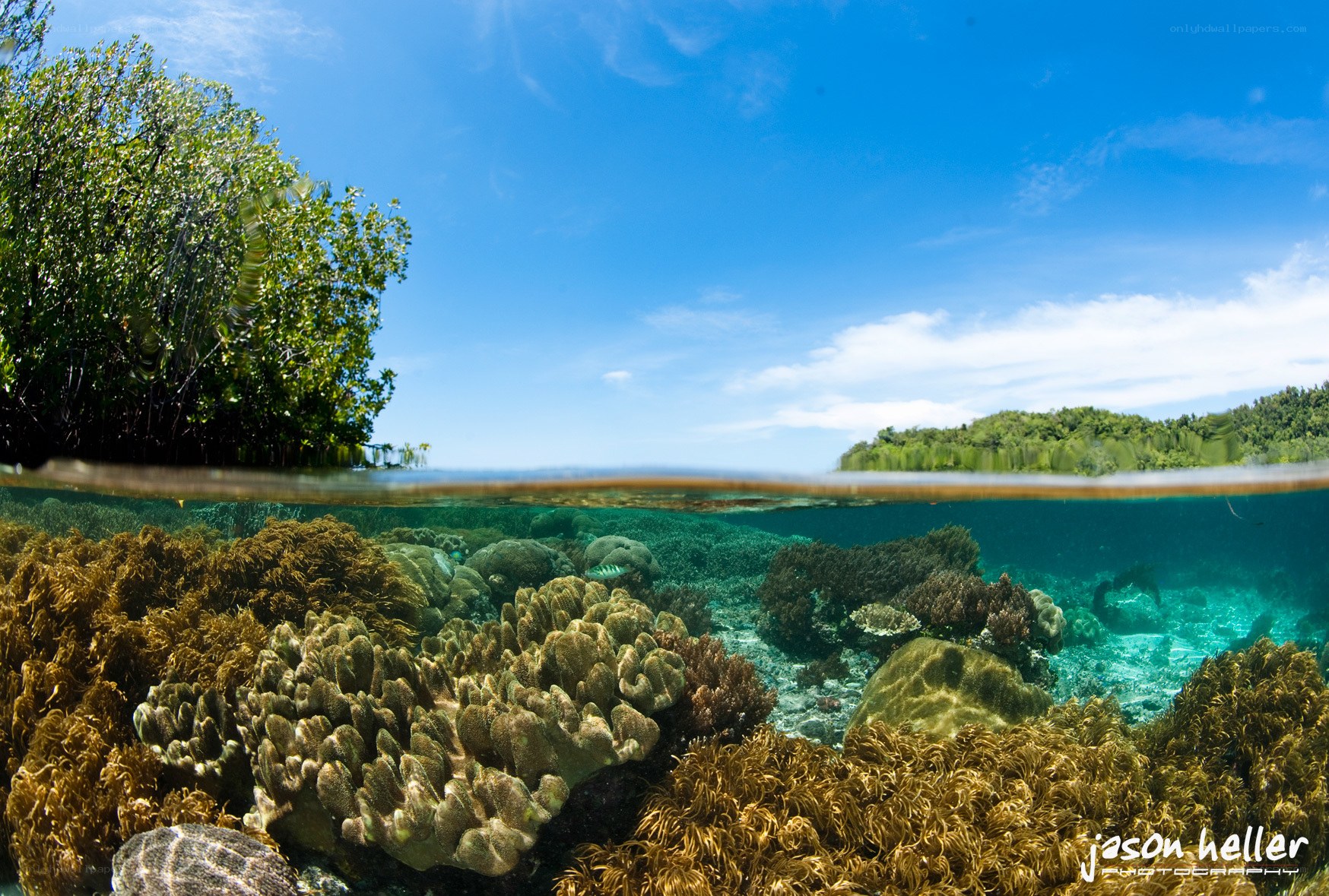 Coral reef under blue sky