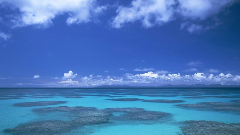 Coral reef under blue sky
