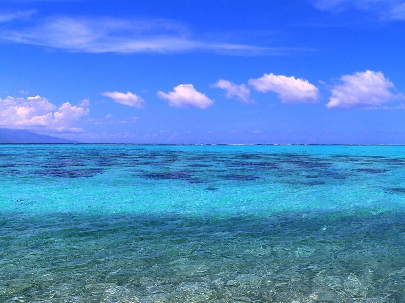 Coral reef under blue sky