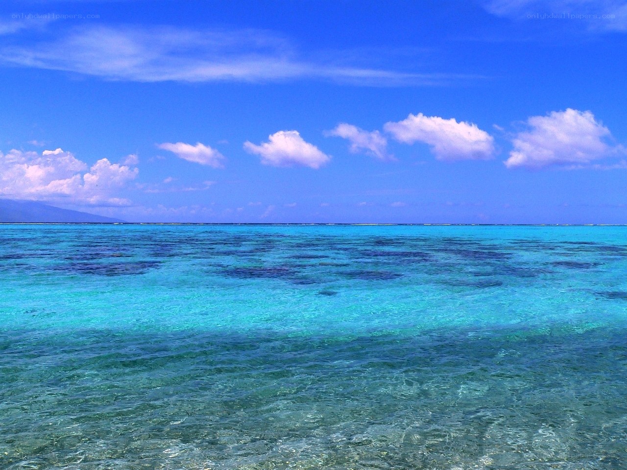 Coral reef under blue sky