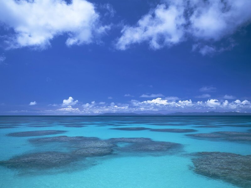Coral reef under blue sky