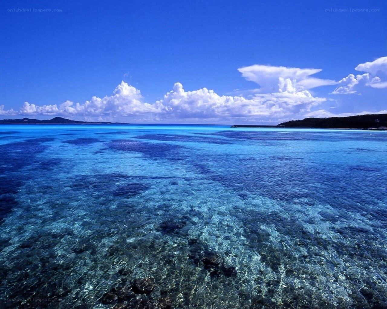 Coral reef under blue sky