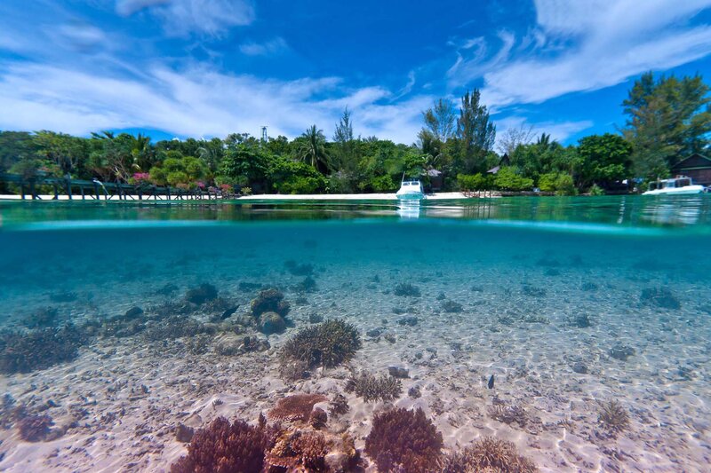 Coral Reef Underwater — Blue, Serene, Afternoon, Photograph, Boats