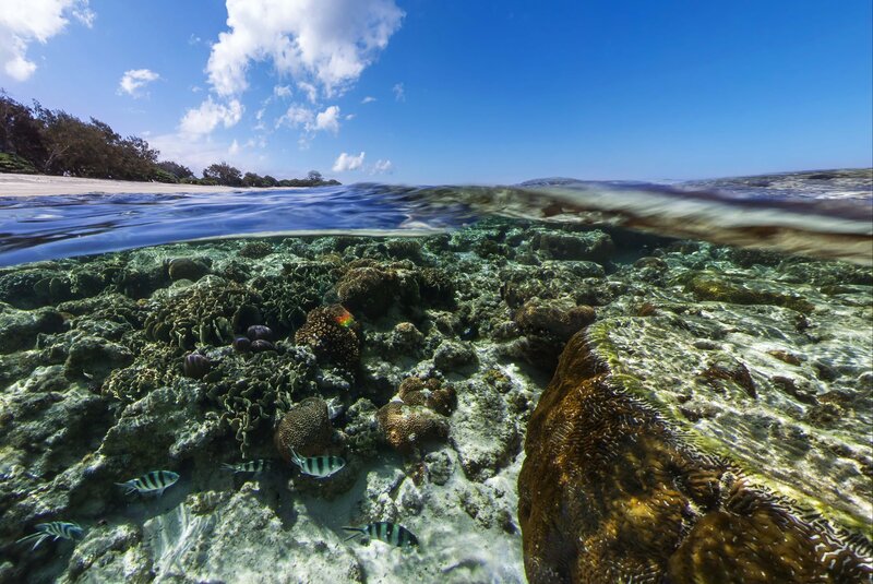 Coral Reef Underwater — Blue, Serene, Afternoon, Photograph, Fish, Ocean, Sky