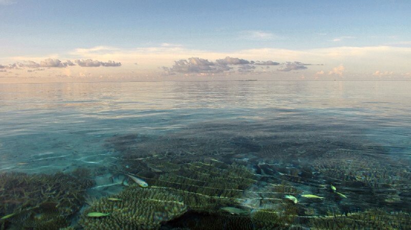Coral Reef Underwater — Blue, Serene, Sunset