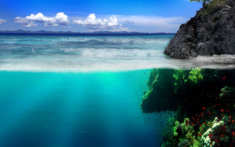 Coral Reef Underwater — Blue