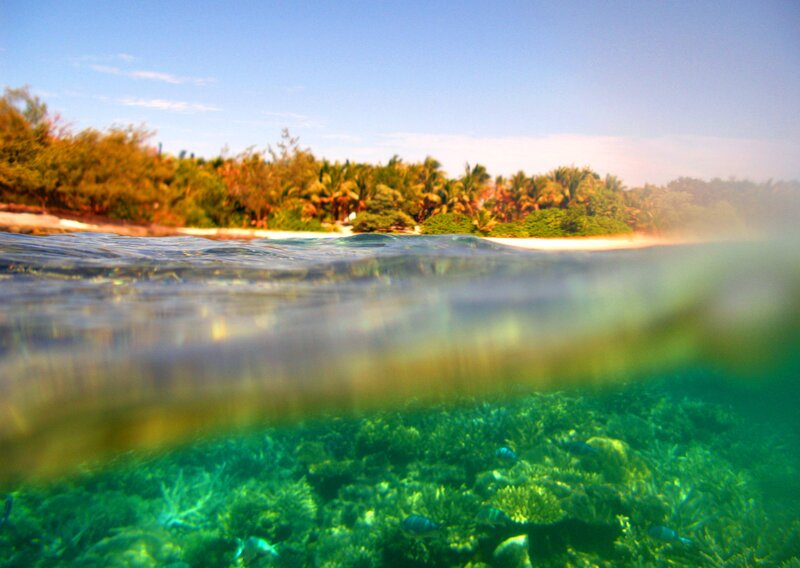 Coral Reef Underwater — Green