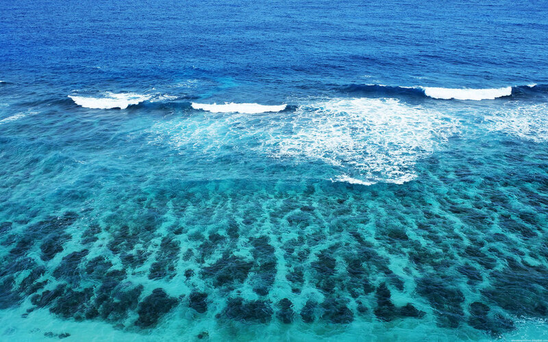 Coral reef with breaking waves