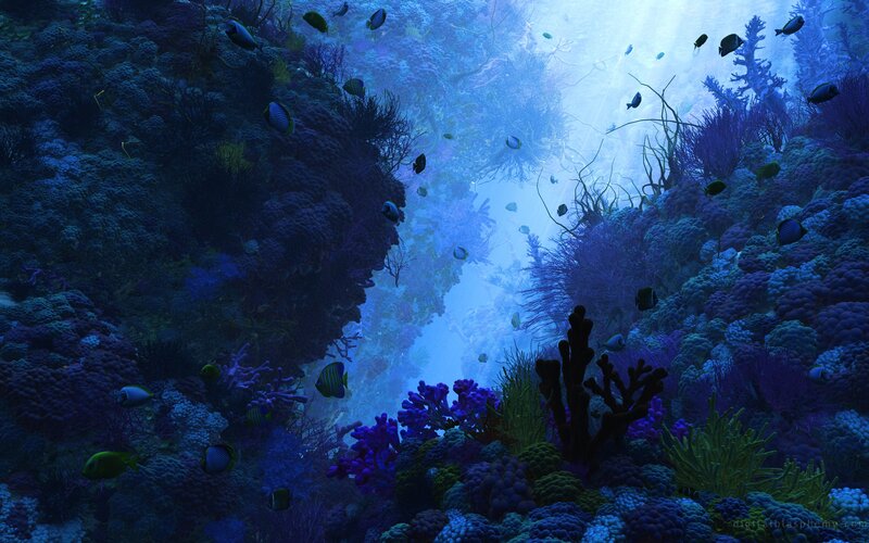 Coral Reef with Fish — Blue, Serene, Digital Art, Corals