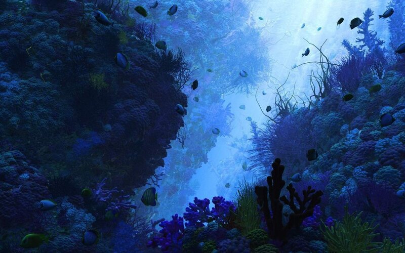 Coral Reef with Fish — Blue, Serene, Digital Art, Underwater
