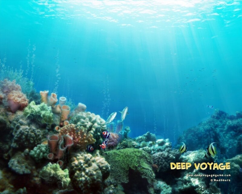 Coral Reef with Fish — Blue, Serene, Photograph, Bubbles