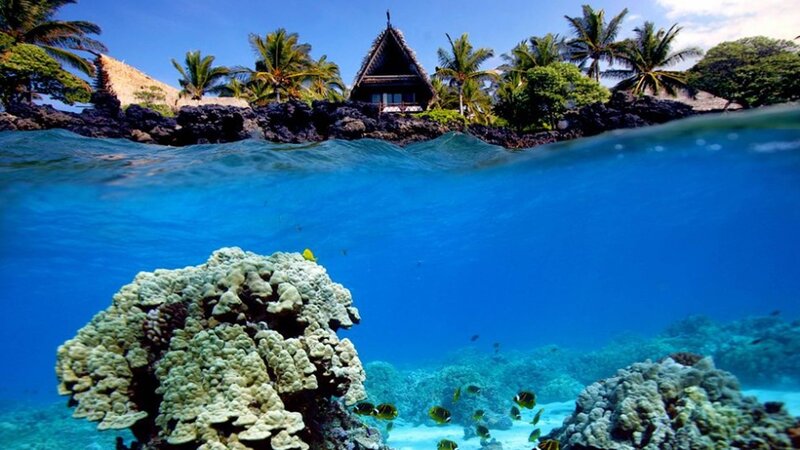 Coral Reef with Hut