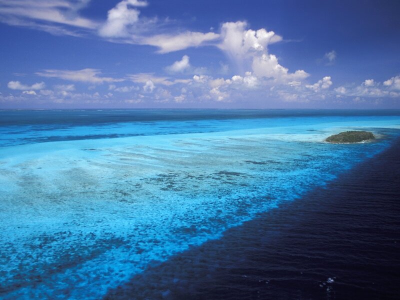 Coral Reef with Island — Blue