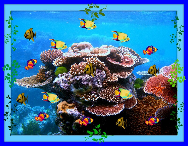 Coral Reef with Tropical Fish — Blue, Serene