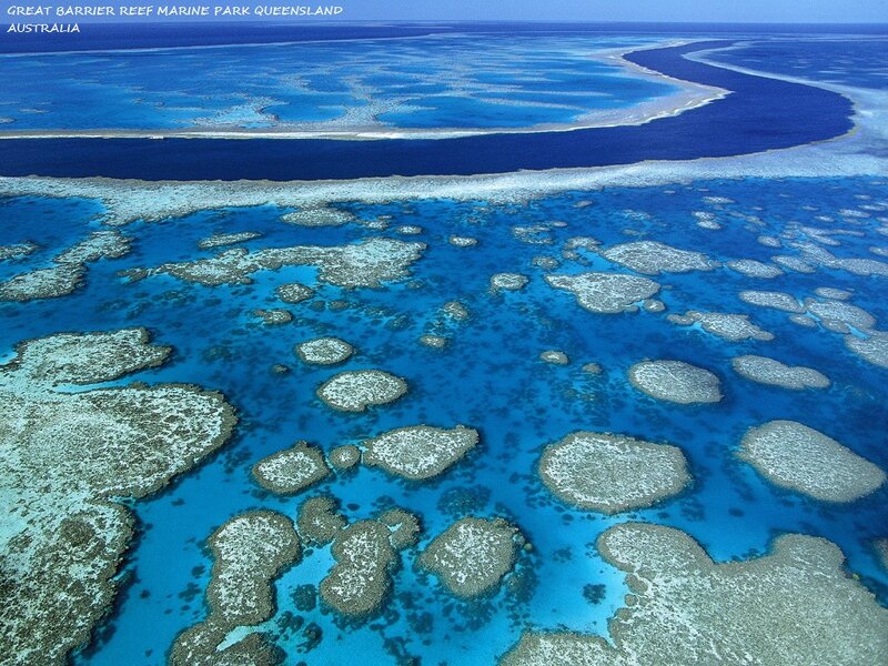 Coral Reefs from Above