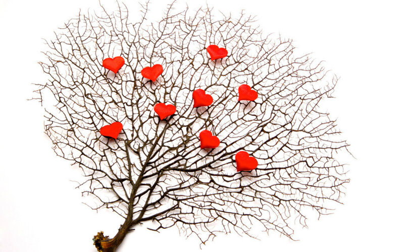 Coral Tree with Hearts