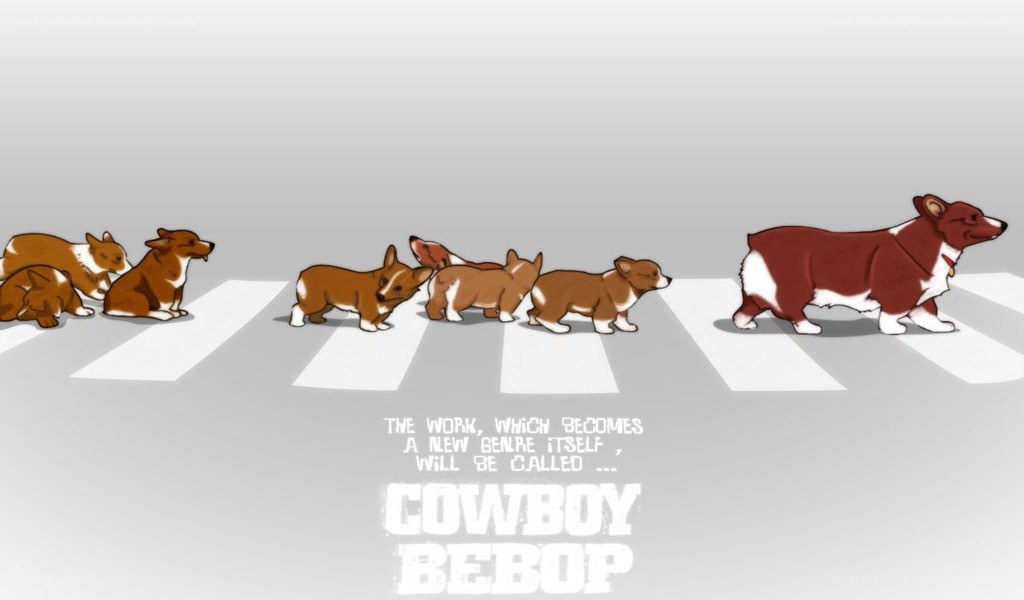 corgi crosswalk animation