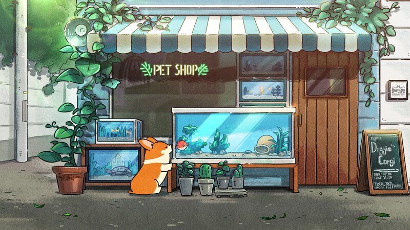 Corgi Dog at Pet Shop