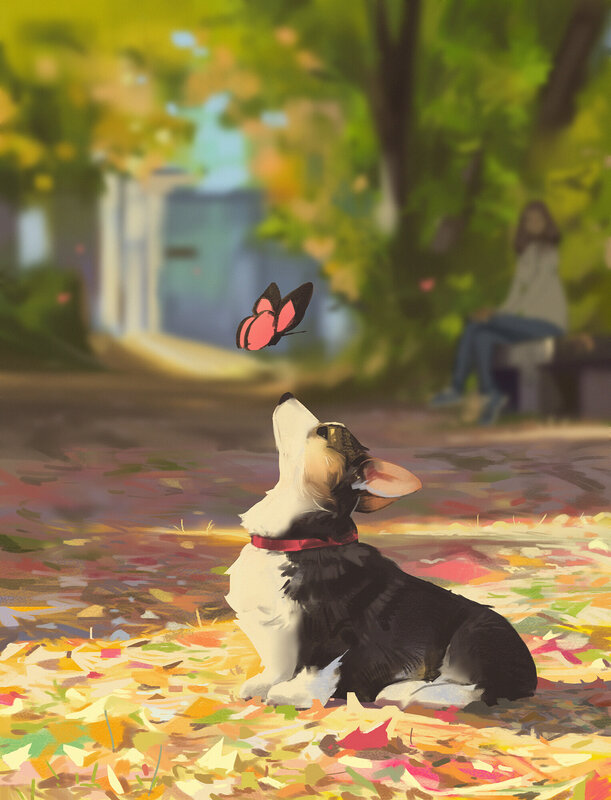 Corgi Dog Watching Butterfly