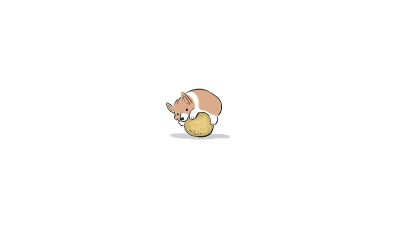 Corgi Dog with Potato