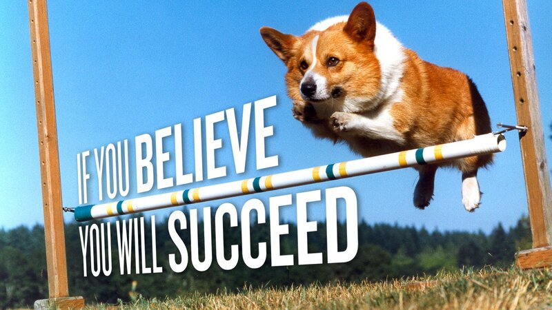 Corgi Jumping Hurdle — Blue, Motivational