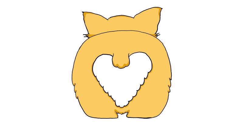 Corgi Rear View