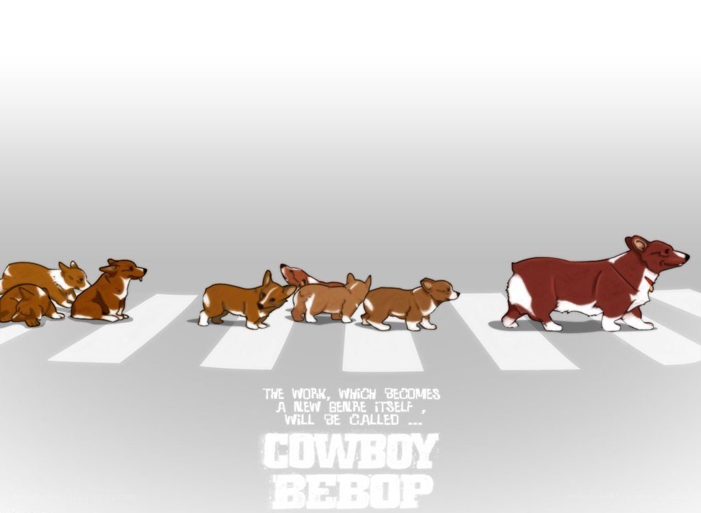 corgis crossing the street